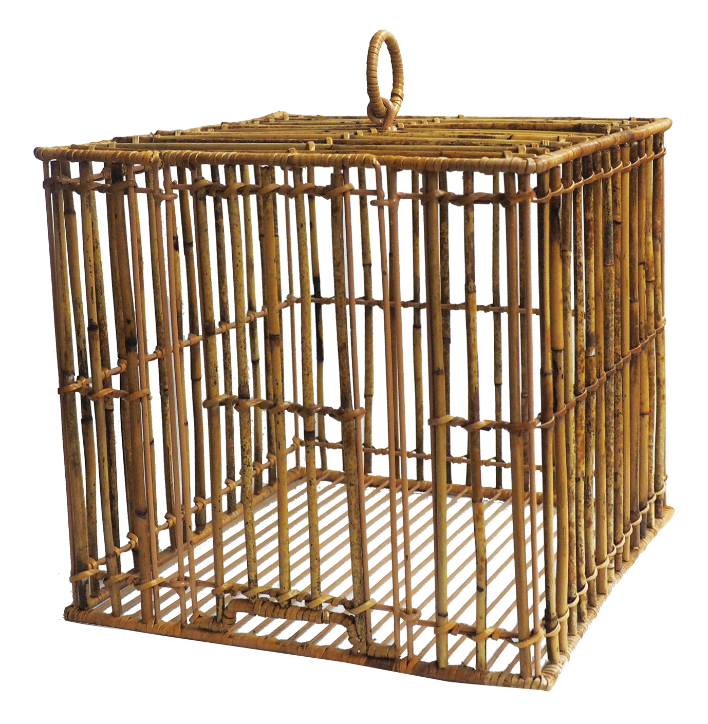 アルログバードケージスクエア