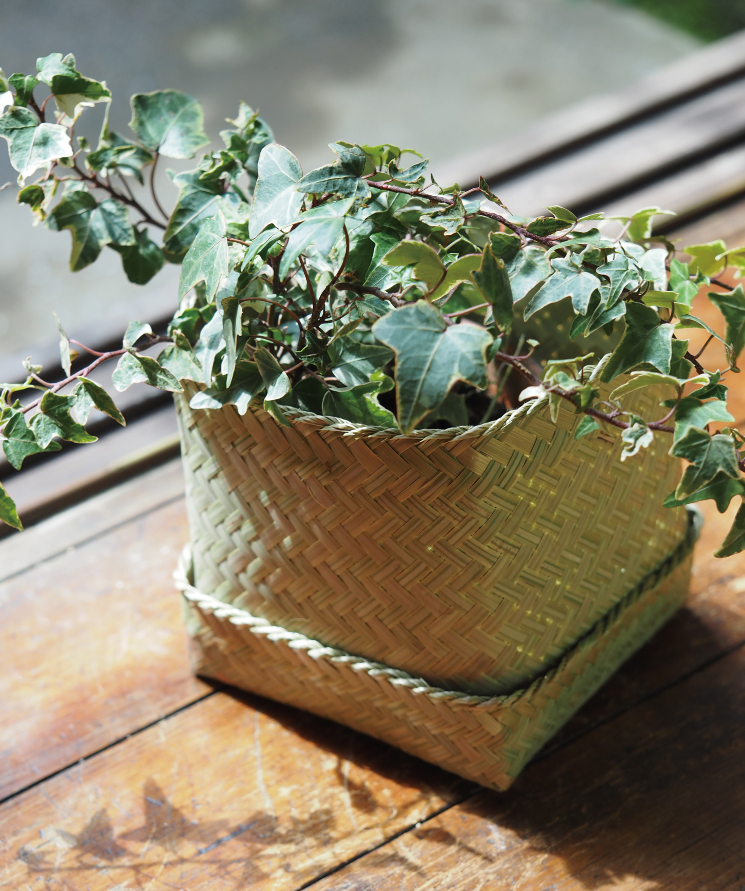 ラオスバンブーBOXSイメージ