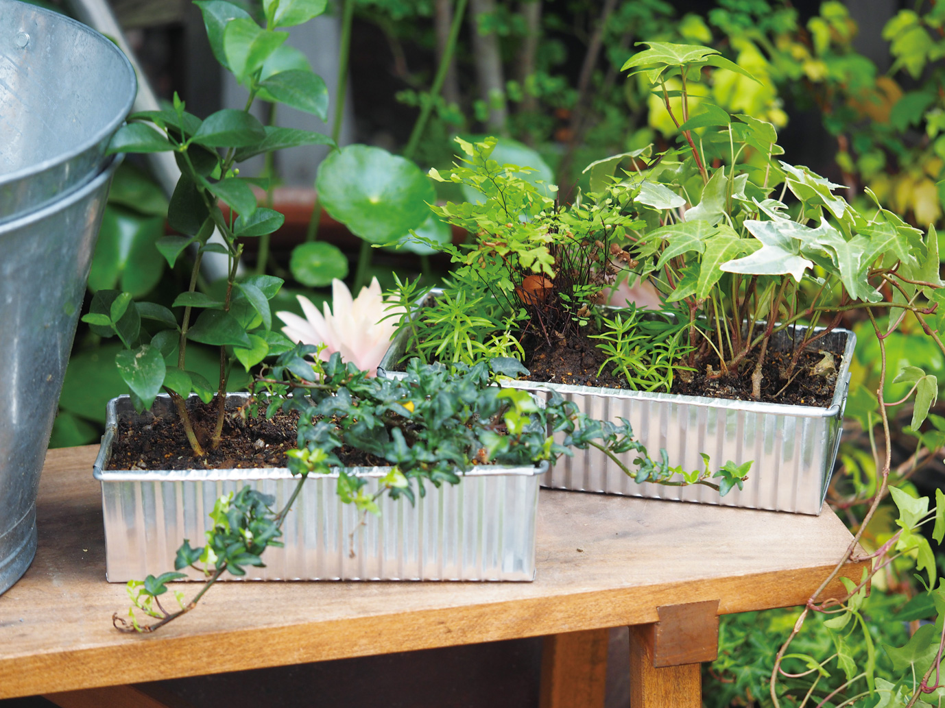 %e3%82%a2%e3%83%ab%e3%83%9f%e3%82%b9%e3%82%af%e3%82%a8%e3%82%a2%e3%83%97%e3%83%a9%e3%83%b3%e3%82%bf%e3%83%bc%e3%82%a4%e3%83%a1%e3%83%bc%e3%82%b8