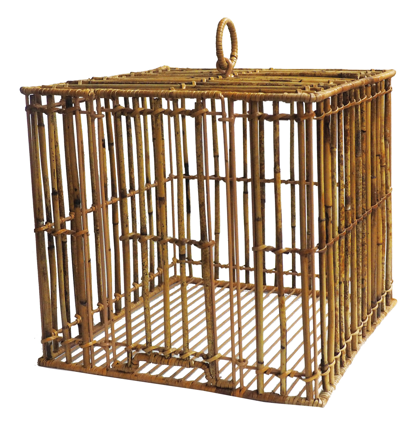 アルログバードケージスクエア