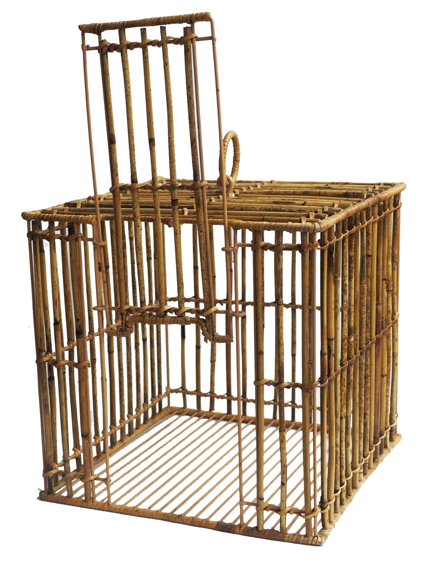 アルログバードケージスクエア2