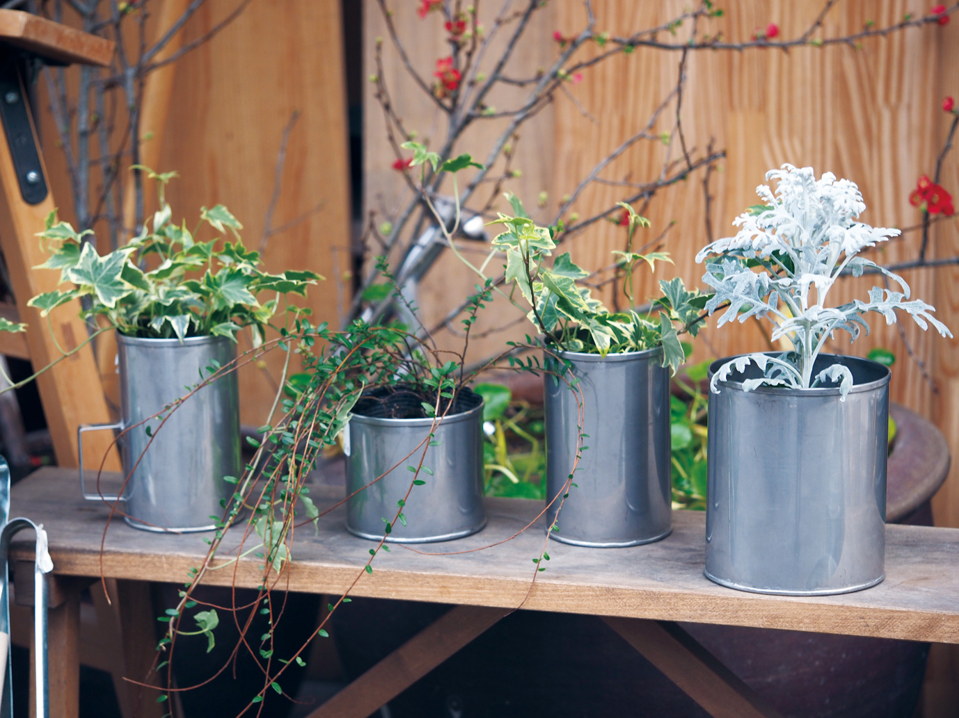 網底缶ガーデニング