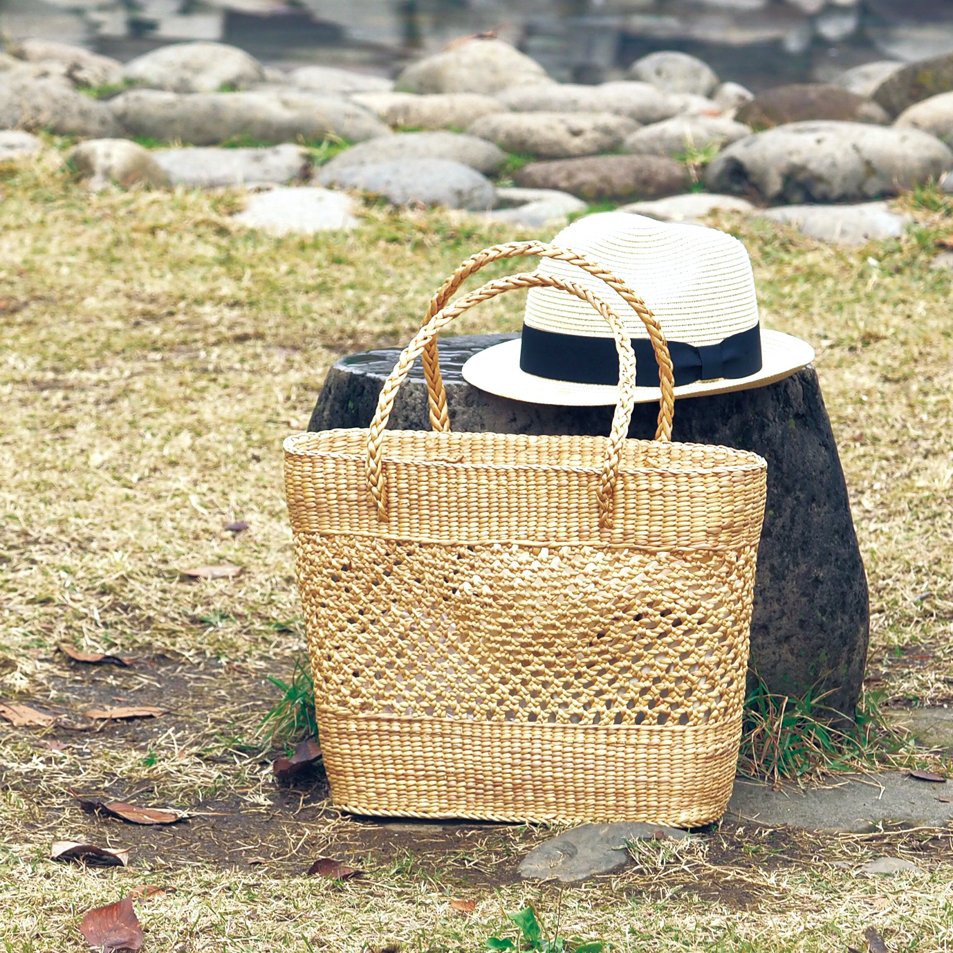 タイ水草スカシカゴテーパード