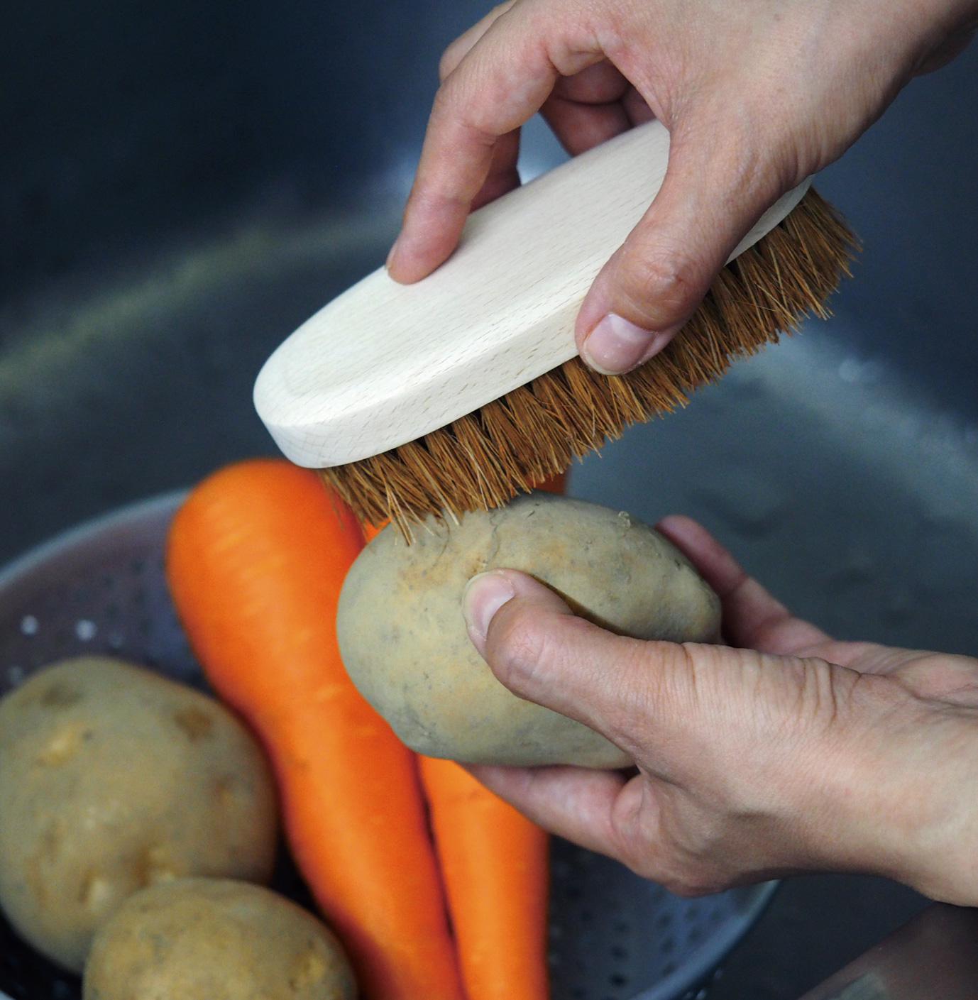 小判ブラシイメージ②