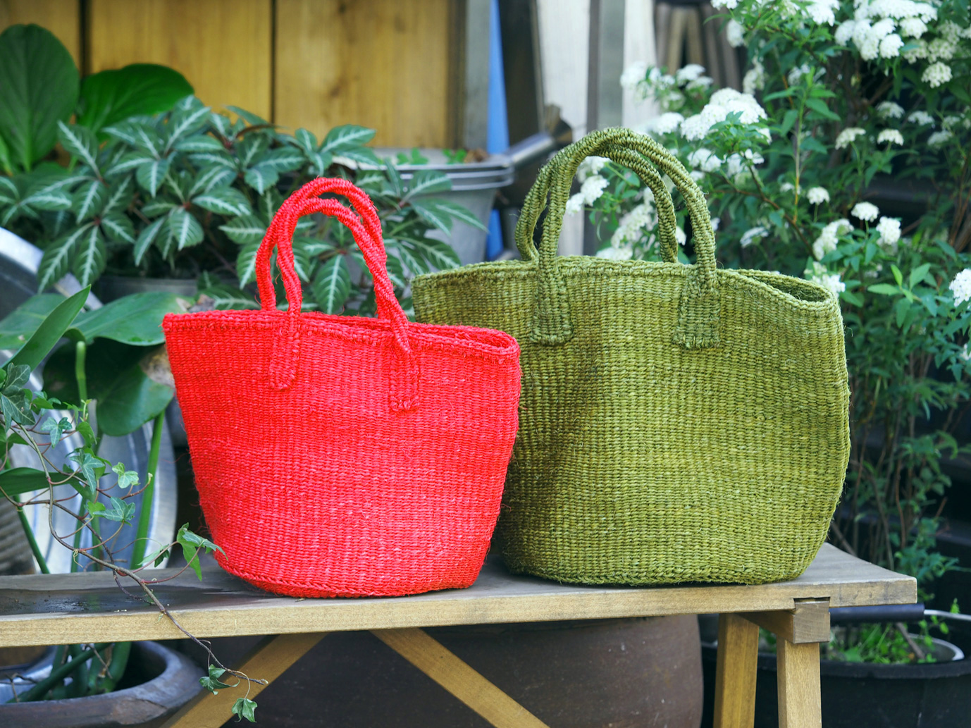 サイザルメイン1