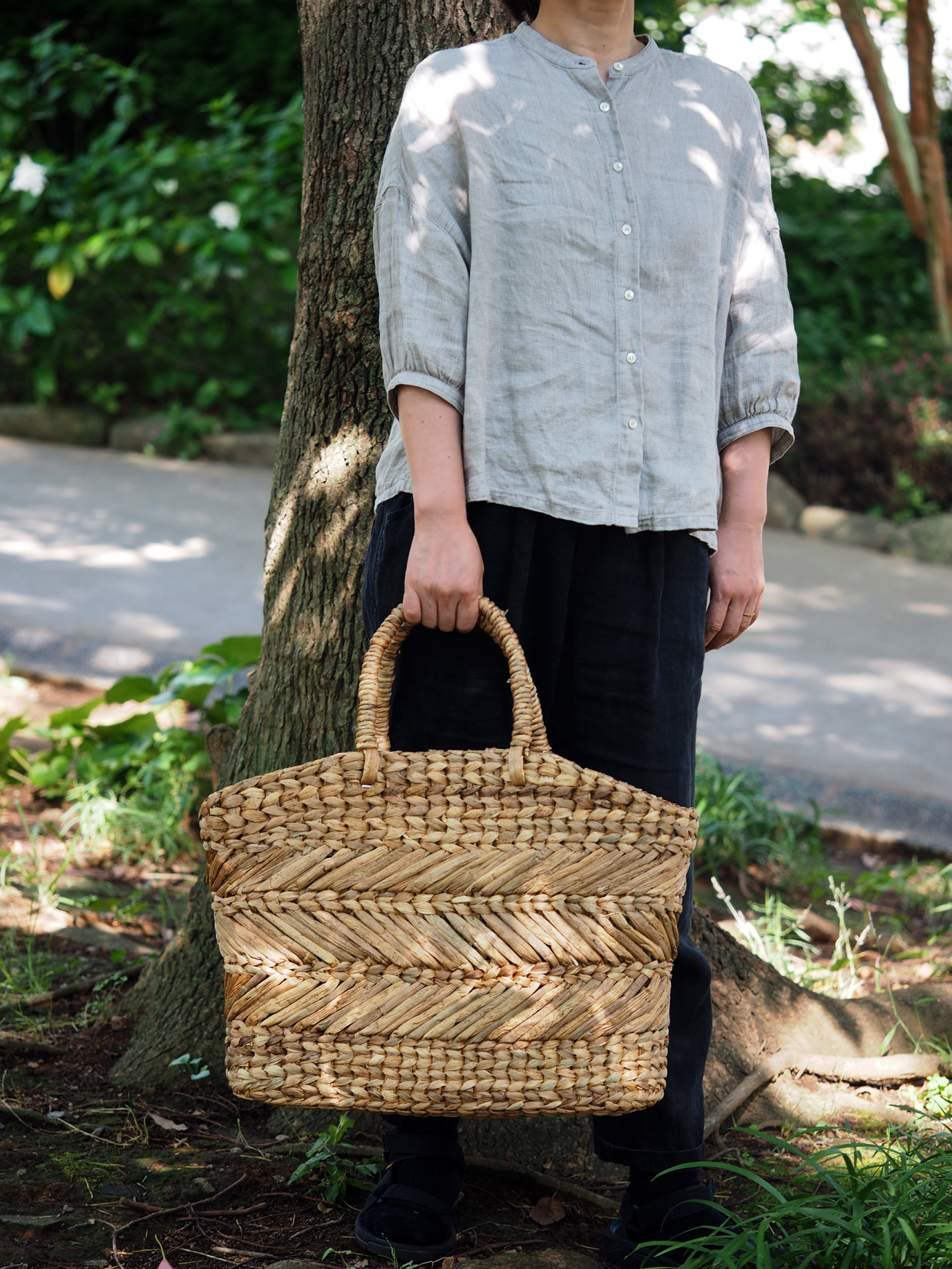 バリ水草BIGバッグイメージ